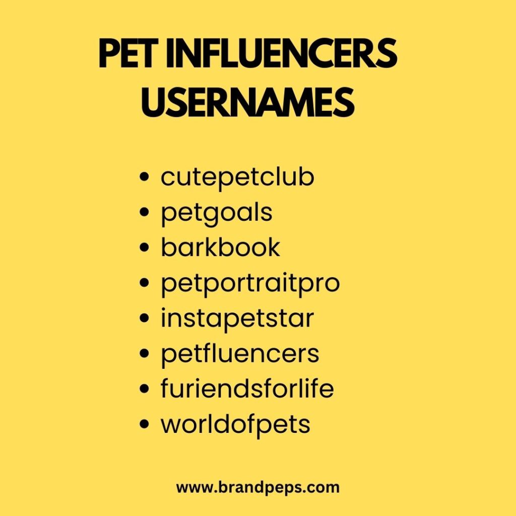 pet influencer usernames